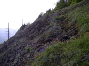 6.10.06 Table Mtn_3CR 176